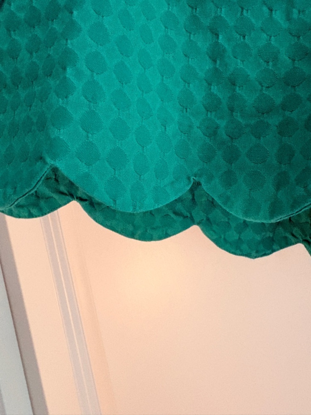 Green Scalloped Hem Shorts, Size 10P - Picture 10 of 12